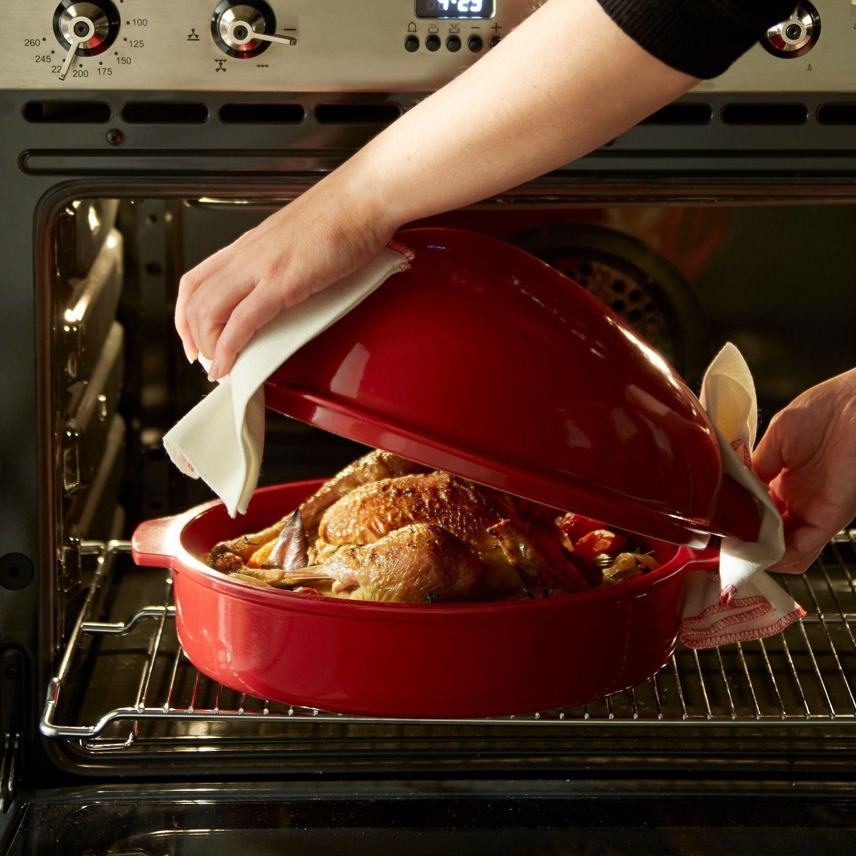 Large Roaster Burgundy 41.5cm x 27.5cm - HAUSwares