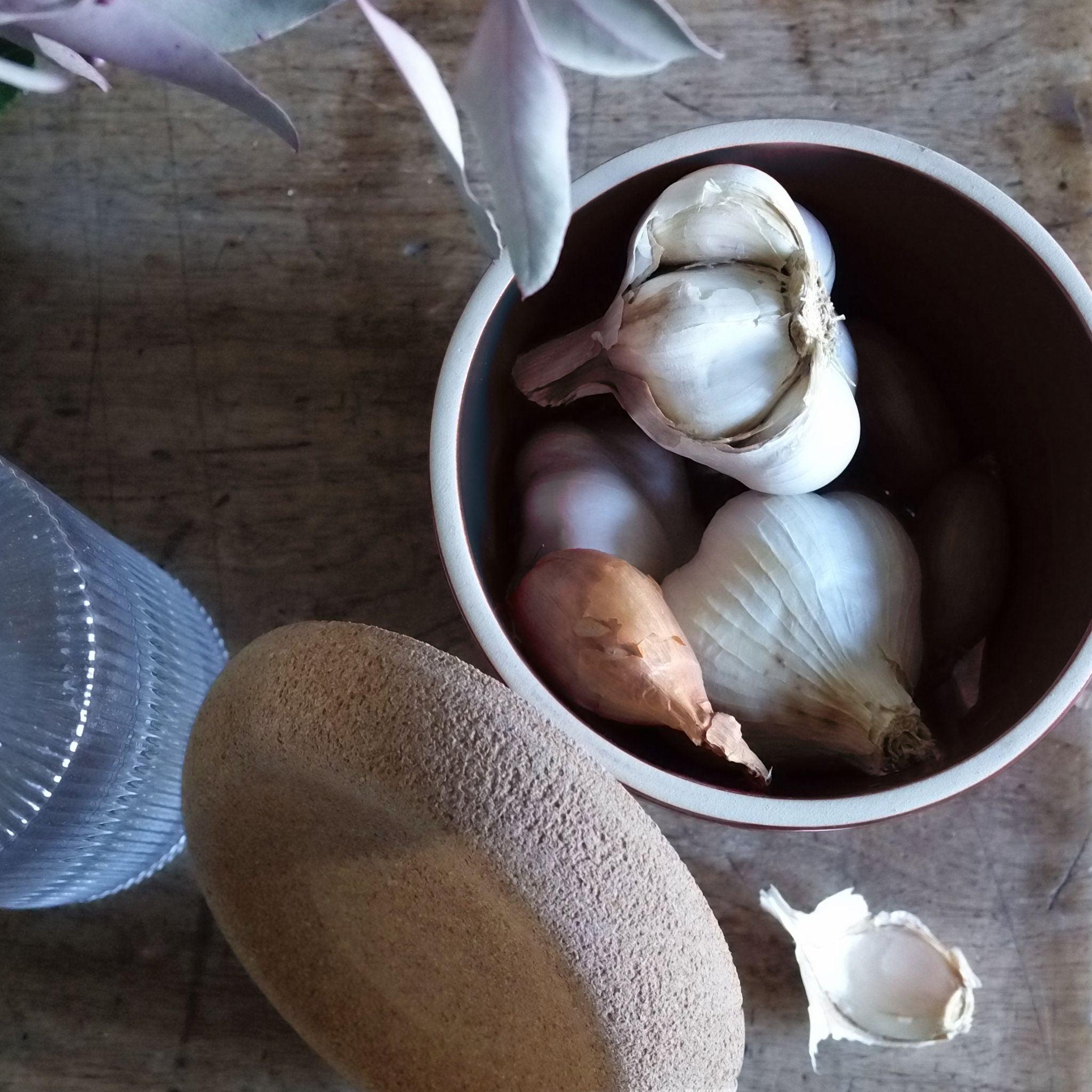  Garlic Pot Clay 14.6cm dia. - HAUSwares